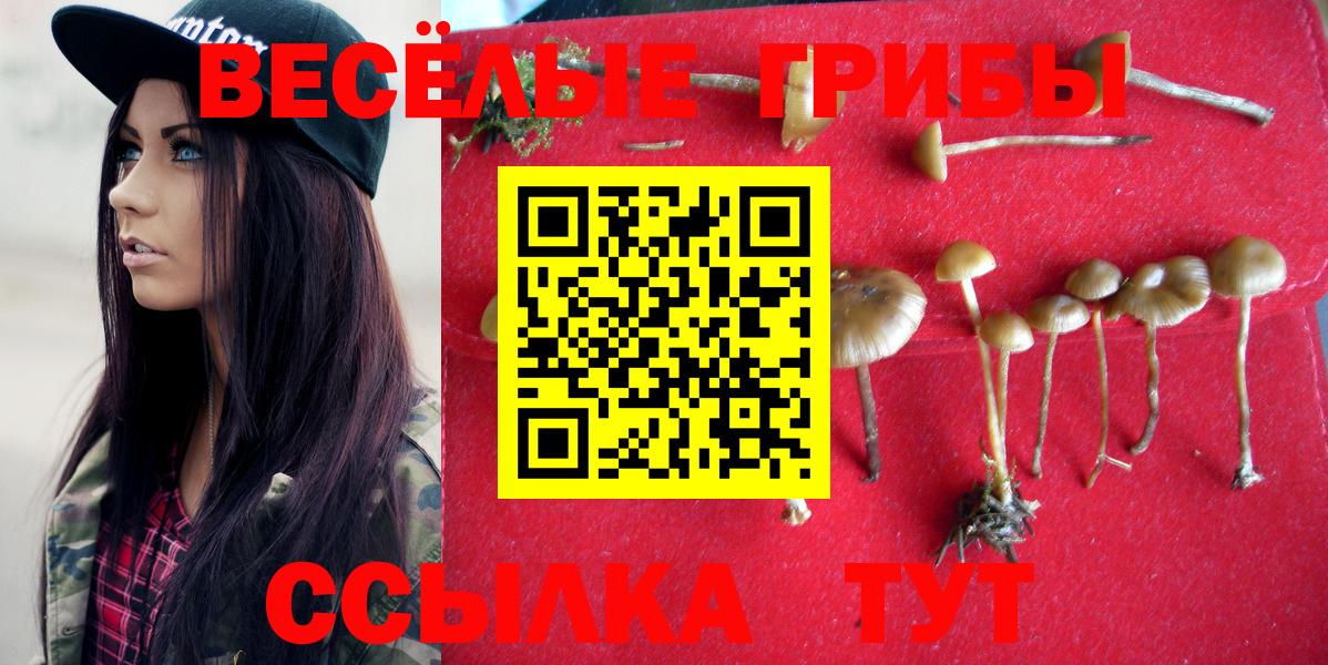 Псилоцибиновые грибы Magic Shrooms Советская Гавань