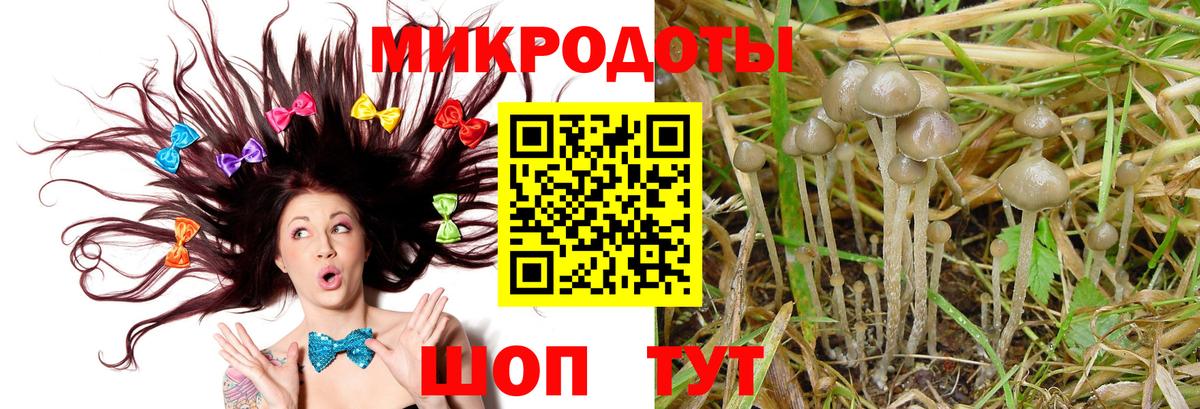 Псилоцибиновые грибы Magic Shrooms  хочу наркоту  Советская Гавань  Галлюциногенные грибы GOLDEN TEACHER  Вход с VPN 